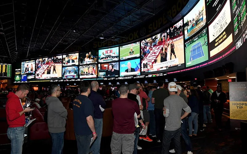 Sportsbook 800